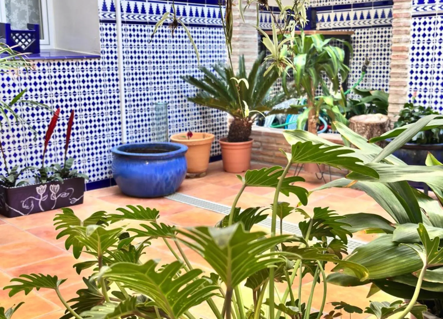Shanti'S Andalusian Rooms Malaga