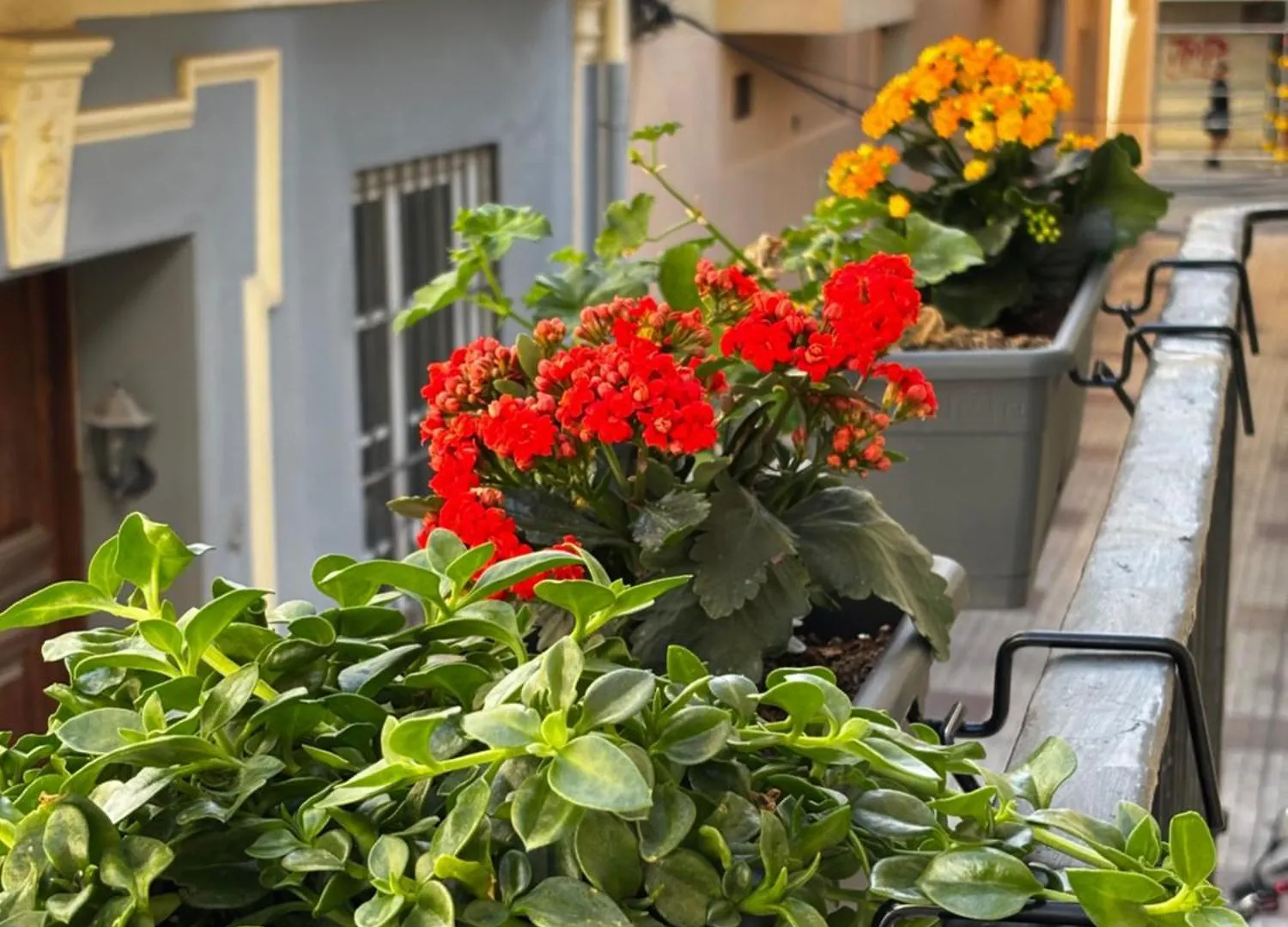 Guest house Shanti'S Andalusian Rooms Malaga